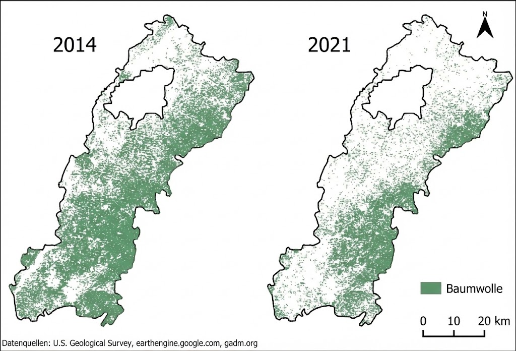 Zwei Karten (2014, 2021) mit grünen Punkten zur Baumwollverteilung, Nordpfeil und Maßstab.